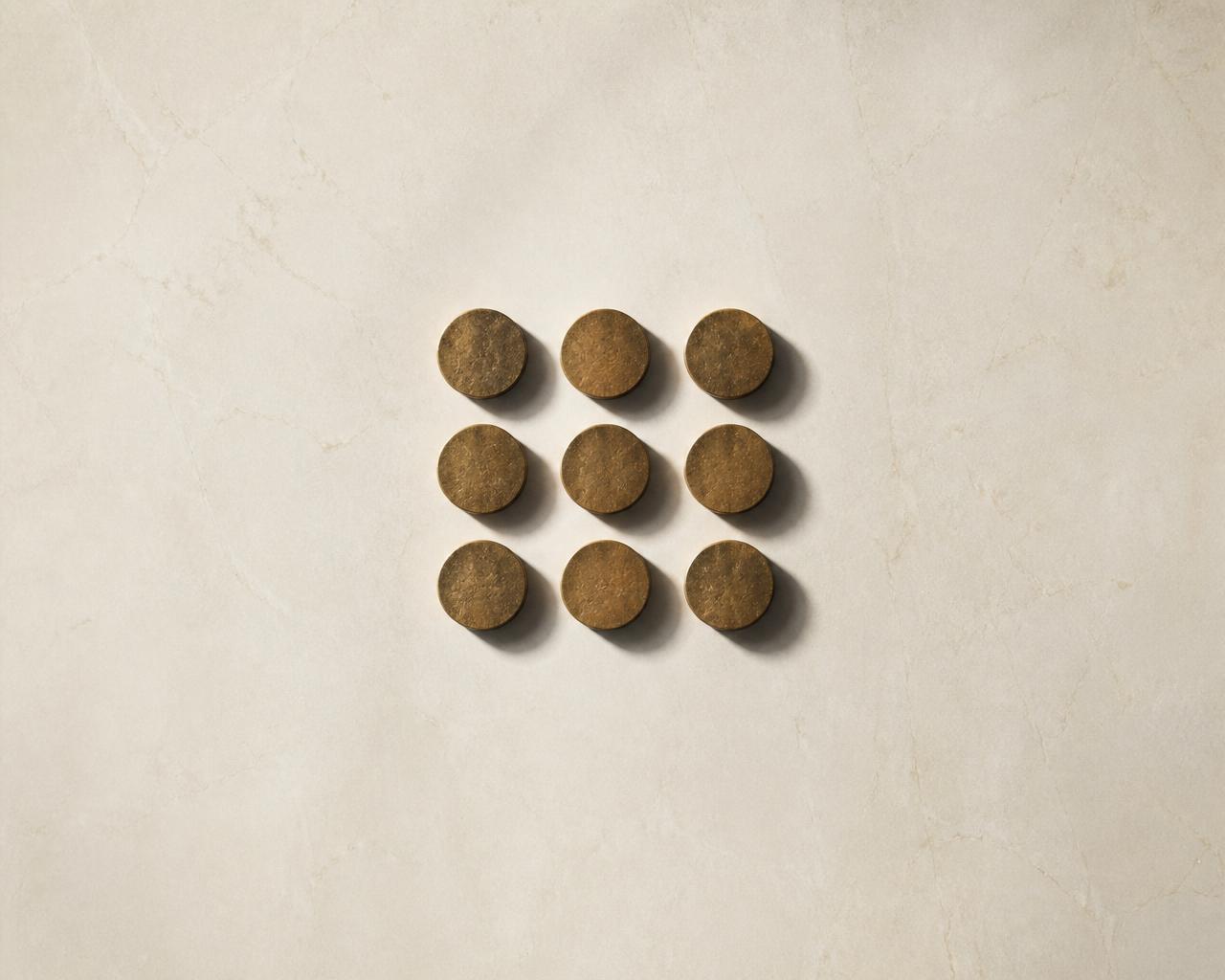 Nine bronze seals arranged in a grid on stone — the Founding Circle.